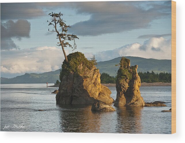 Bay Wood Print featuring the photograph Lone Tree on a Rock at Sunset by Jeff Goulden