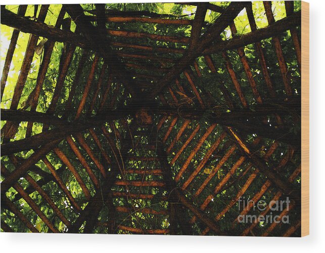 Wood Wood Print featuring the photograph Long Was The Prayer He Uttered by Linda Shafer