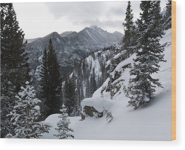 Colorado Wood Print featuring the photograph Long's Peak Winter by Cascade Colors