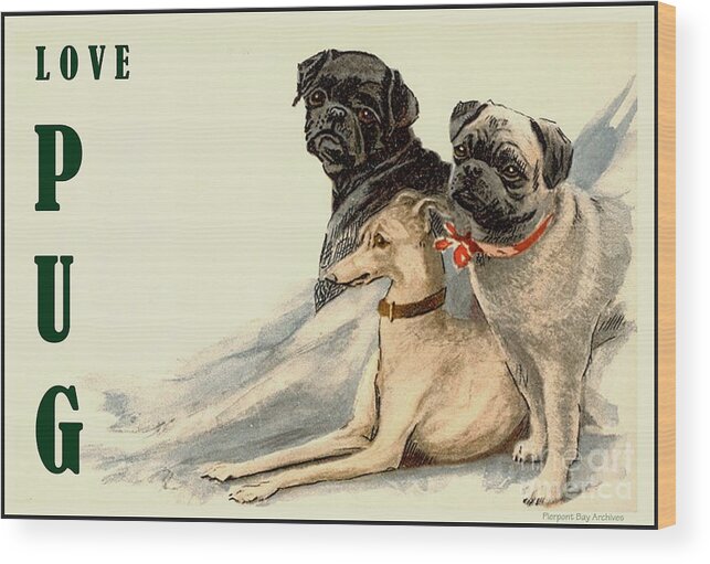 Pug Bull Dog Bulldog Whippet Collar Black Gray Tan Graphic Collector Fans Wood Print featuring the digital art Love Pug by Pierpont Bay Archives