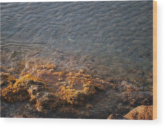 Low Tide Wood Print featuring the photograph Low Tide by George Katechis