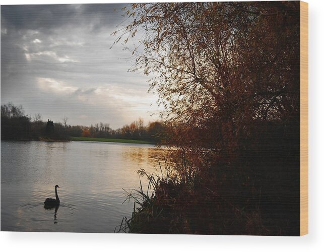 Water Wood Print featuring the photograph Lwv10011 by Lee Winter
