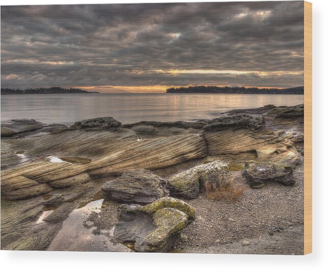 Landscape Wood Print featuring the photograph Madrona Point by Randy Hall
