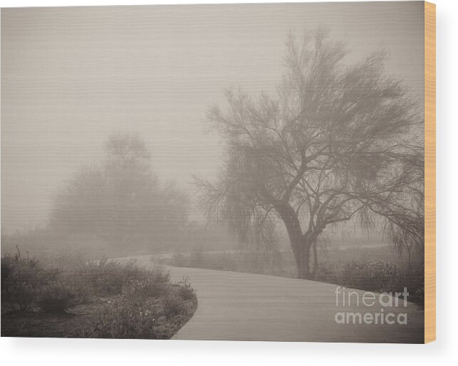 Fog Wood Print featuring the photograph Misty Morning II by Tamara Becker
