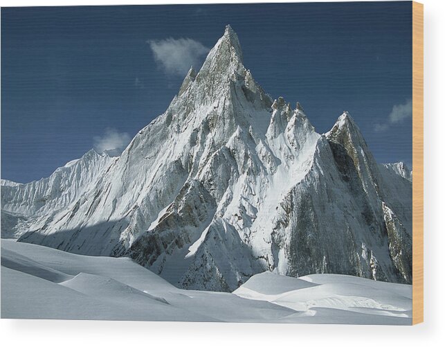 00260181 Wood Print featuring the photograph Mitre Peak At 6252 Meters Elevation by Colin Monteath