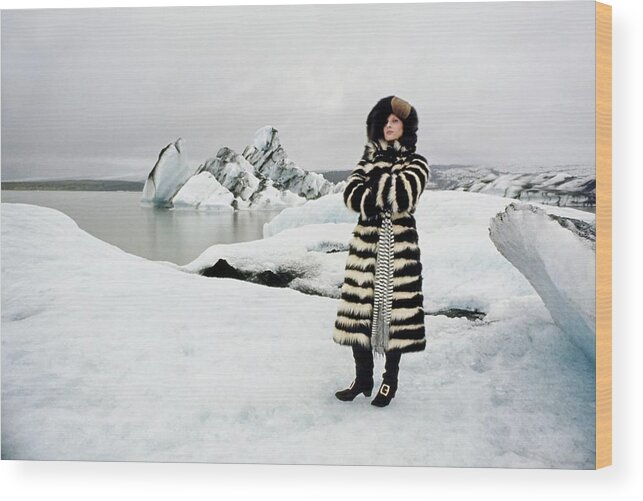 Fashion Wood Print featuring the photograph Model Wearing A Skunk Fur Coat by John Cowan