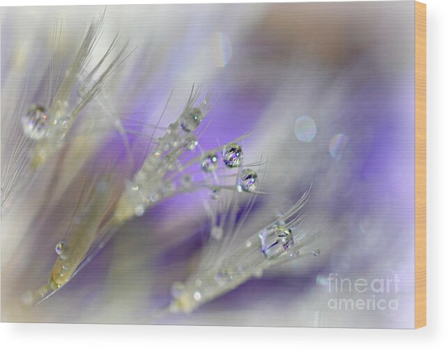 Morning Dew Wood Print featuring the photograph Morning Dew by Lila Fisher-Wenzel