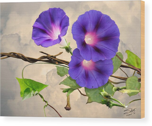 Flowers Wood Print featuring the digital art Morning Glory and Barbed Wire by M Spadecaller