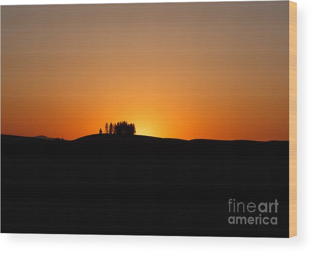 Country Wood Print featuring the photograph Morning Silhouette by Beve Brown-Clark Photography