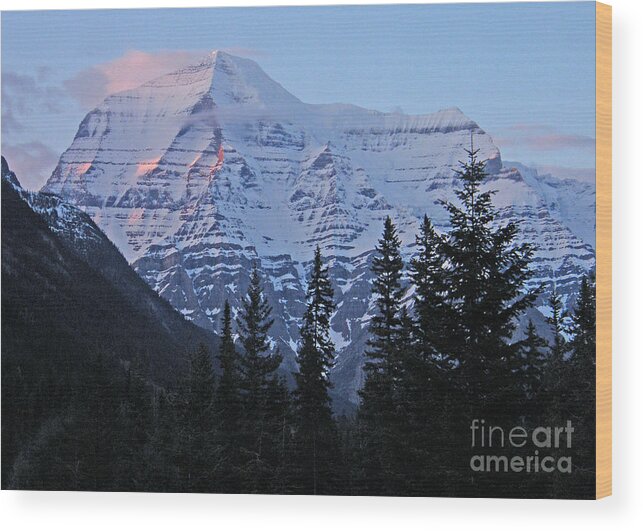 Mount Robson Wood Print featuring the photograph Mount Robson at Sundown - Canada by Phil Banks