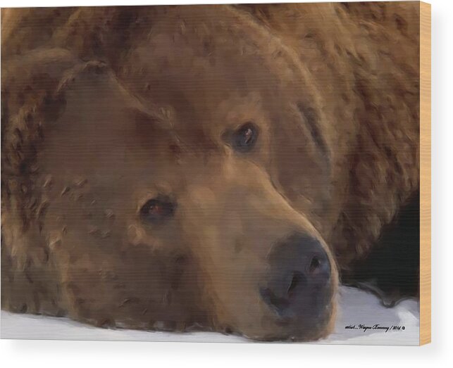 Brown Bears Wood Print featuring the painting Mr Grizzly Bear by Wayne Bonney