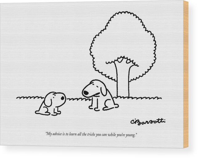 
(older Dog Gives Advice To A Younger Dog.)
Animals Wood Print featuring the drawing My Advice Is To Learn All The Tricks by Charles Barsotti
