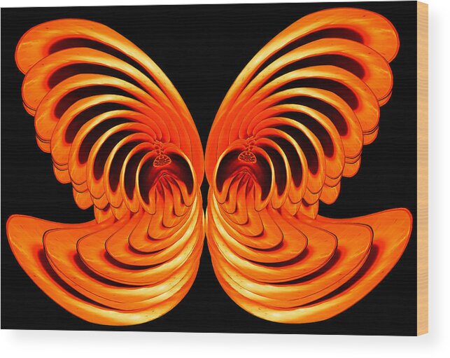 Composite Wood Print featuring the photograph Nautilus Wings by Jim Painter
