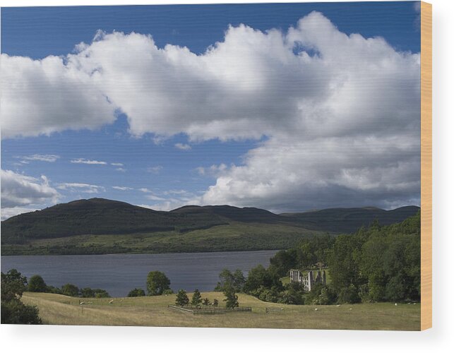 Scotland Wood Print featuring the photograph Near Spinningdale Scotland by Sally Ross