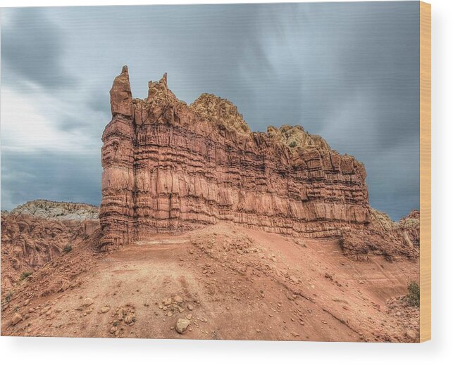 New Mexico Wood Print featuring the photograph New Mexico by Anna Rumiantseva