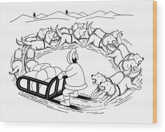 (eskimo On Dog Sled Wood Print featuring the drawing New Yorker December 12th, 1959 by Otto Soglow