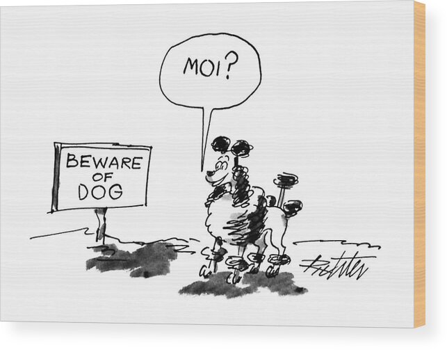 No Caption
Poodle Sees Beware Of Dog Sign And Says Wood Print featuring the drawing New Yorker July 29th, 1991 by Mischa Richter