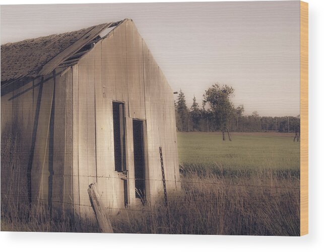 Shed Wood Print featuring the photograph Old Shed by Craig Perry-Ollila