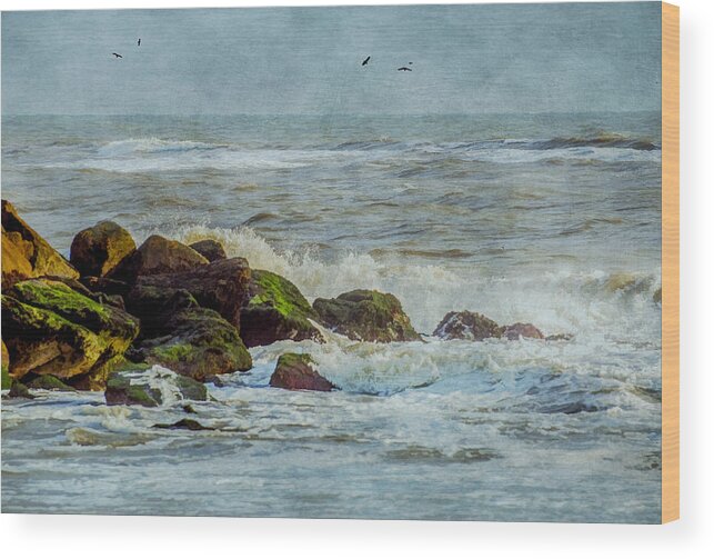 Rocks Wood Print featuring the photograph On The Rocks by Cathy Kovarik