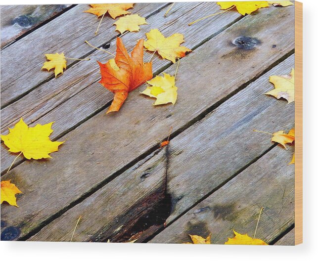 Maple Leaves Wood Print featuring the photograph One Golden Leaf by Betty-Anne McDonald