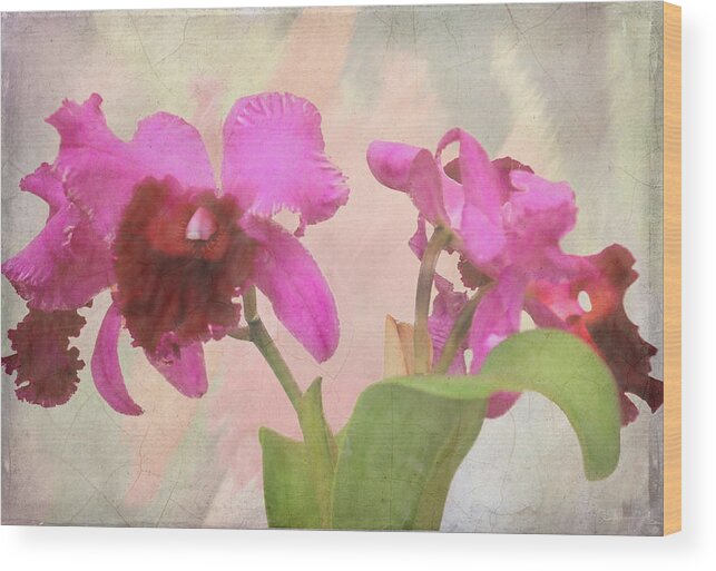 Flower Wood Print featuring the photograph Orchid in Hot Pink by Rosalie Scanlon