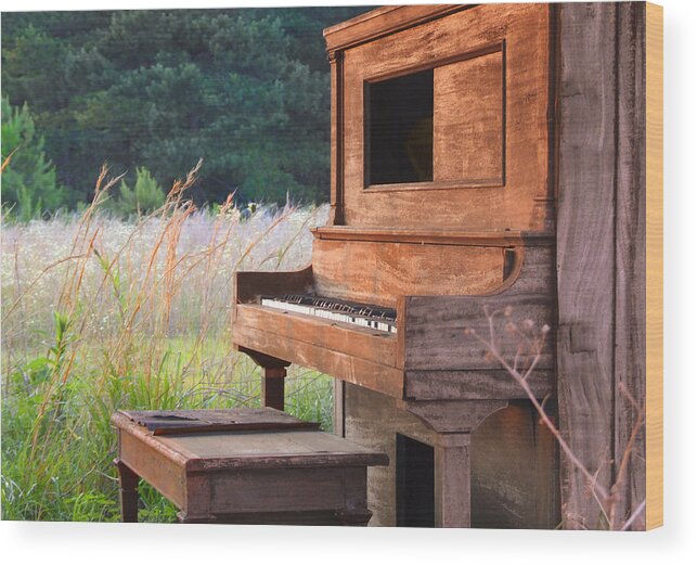 Musical Instrument Wood Print featuring the photograph Outdoor Upright Piano by Mike McGlothlen