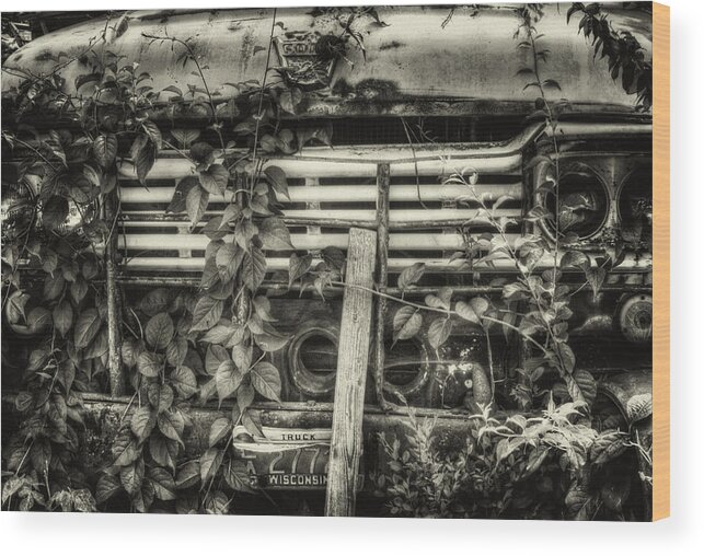 Ford Truck Wood Print featuring the photograph Overgrown Ford Truck by Thomas Young