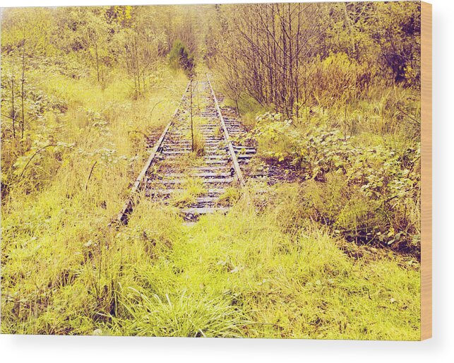Overgrown Tracks Wood Print featuring the photograph Overgrown Tracks by Bonnie Bruno