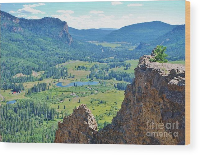 View Wood Print featuring the photograph Overlook by William Wyckoff