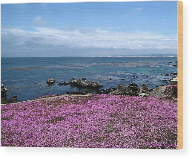 Pacific Grove Wood Print featuring the photograph Pacific Grove California by Joyce Dickens