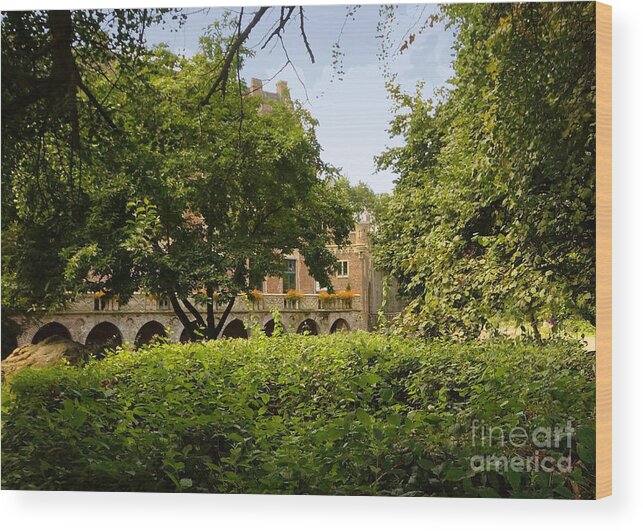Europe Wood Print featuring the photograph Paffendorf Castle Germany 7 by Rudi Prott