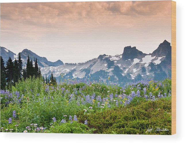 Alpine Wood Print featuring the photograph Paradise Meadows and the Tatoosh Range by Jeff Goulden