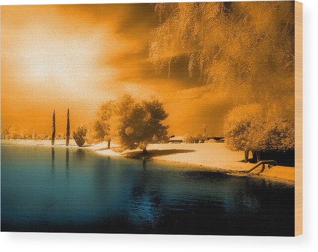 Lake Wood Print featuring the photograph Park in Infrared by Jim Painter