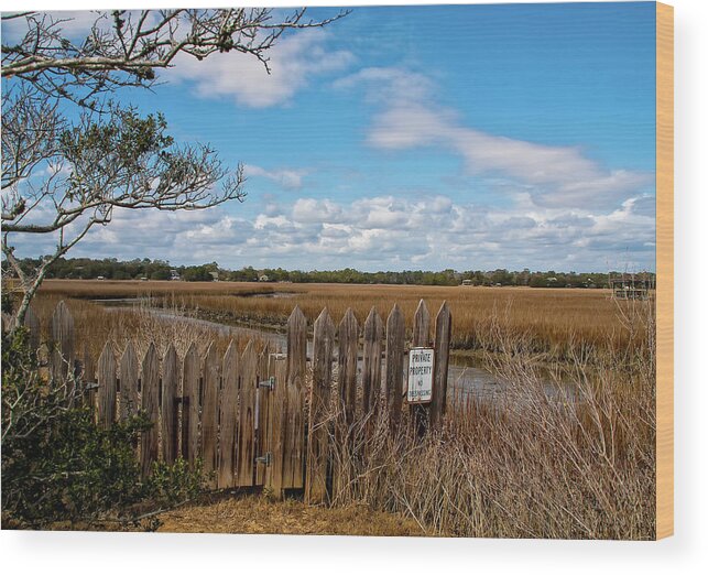 Sandra Anderson. Sc Low Country Wood Print featuring the photograph Pawley's Picket Fence by Sandra Anderson