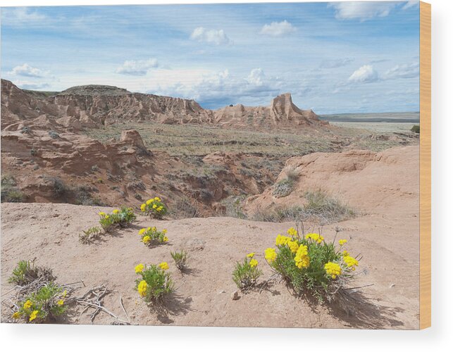 Pawnee Buttes Wood Print featuring the photograph Pawnee Buttes Colorado by Cascade Colors