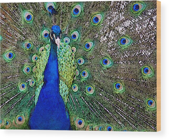 Peacock Wood Print featuring the photograph Peacock by Patricia Bolgosano