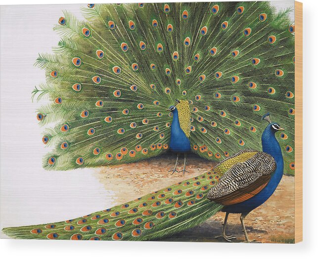 Peacock Wood Print featuring the painting Peacocks by RB Davis