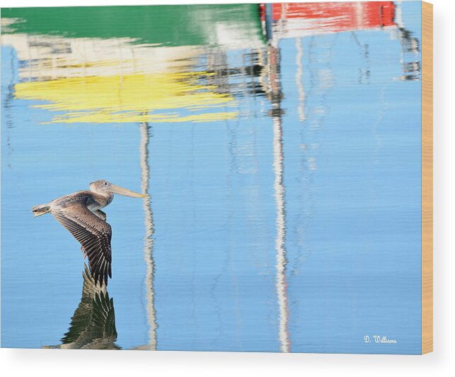 Pelican Wood Print featuring the photograph Reflections by Dan Williams