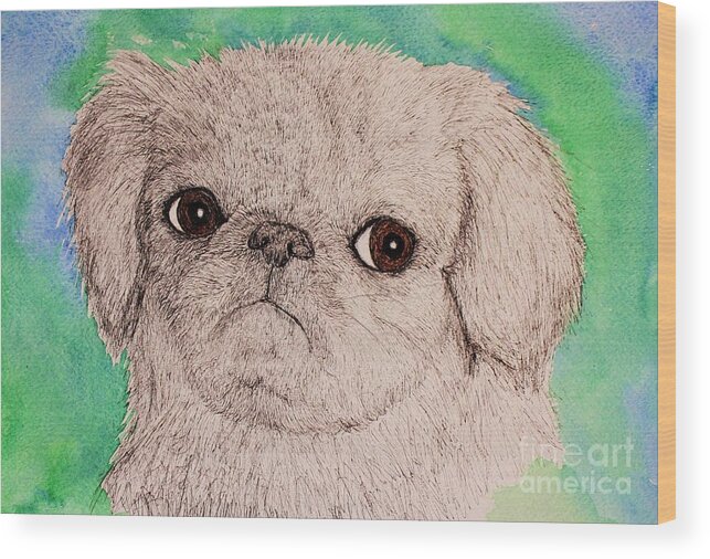 Pug Wood Print featuring the painting Pen and Ink Pug by Melinda Etzold