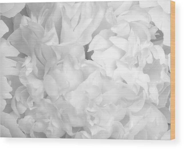 Peony Wood Print featuring the photograph Peony petals by Denise Beverly