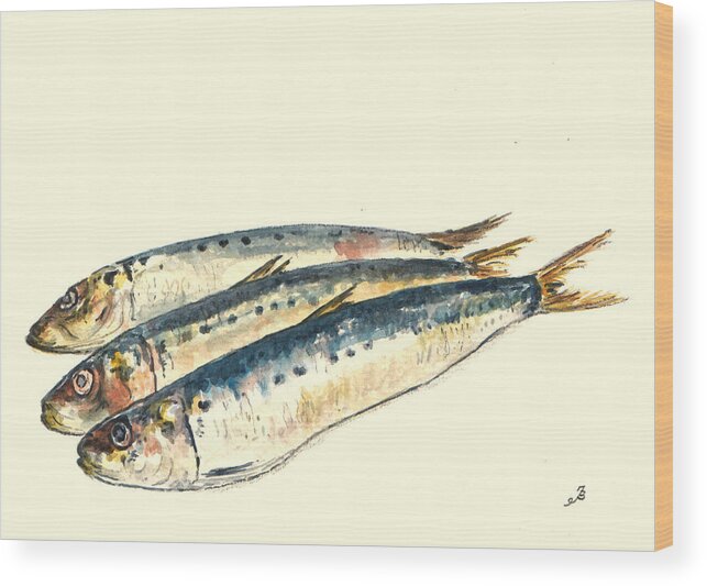 Pilchards Wood Print featuring the painting Pilchards by Juan Bosco