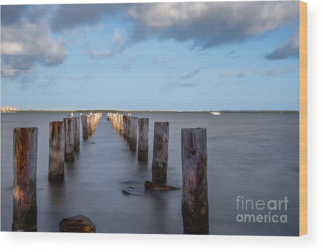 Seascape Wood Print featuring the photograph Pilings by Charles Aitken