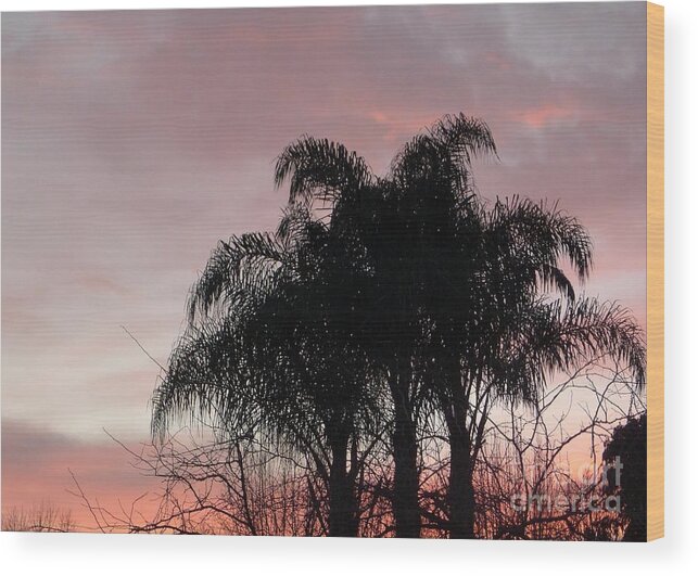 Pink Wood Print featuring the photograph Pink Purple Palms by Nora Boghossian
