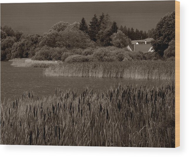 Blato Wood Print featuring the photograph Pond at Blato by Michael Kirk