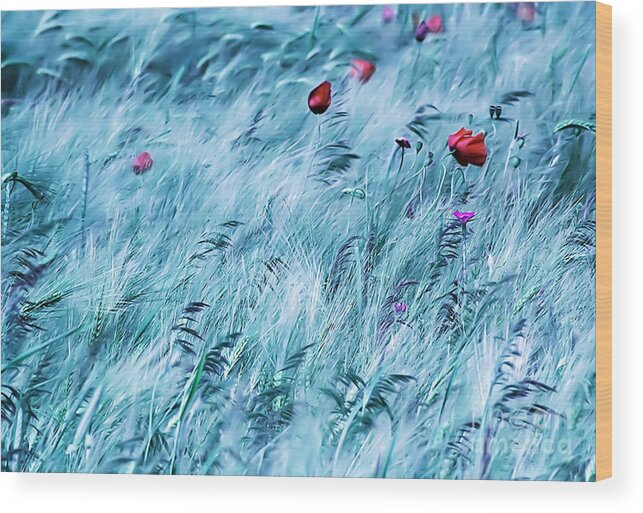  Flower Wood Print featuring the digital art Poppy In Wheat Field by Odon Czintos