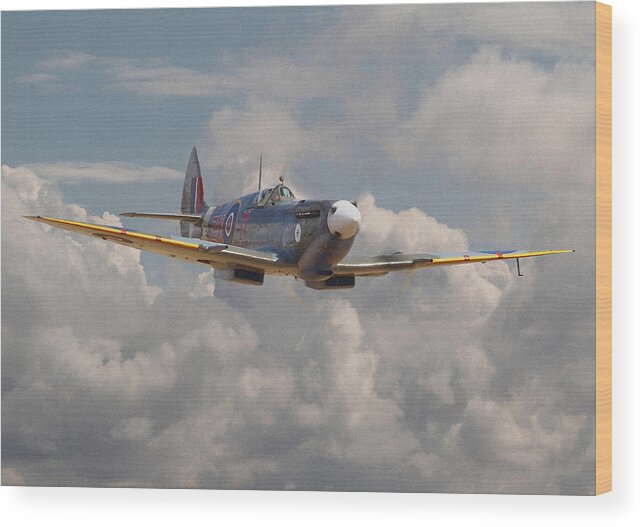 Aircraft Wood Print featuring the digital art Portrait of an Icon by Pat Speirs