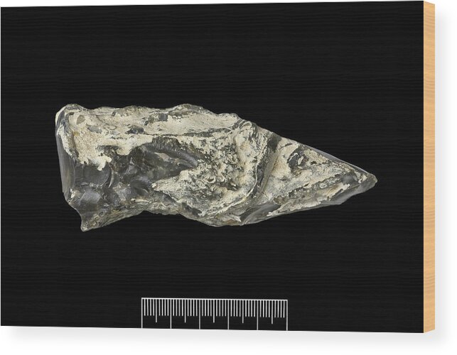 Specimen Wood Print featuring the photograph Prehistoric Flint Hand-axe by Natural History Museum, London/science Photo Library