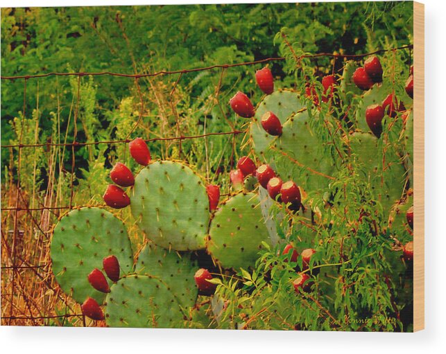 Cactus Wood Print featuring the photograph Prickly Pear Cactus by Bonnie Willis