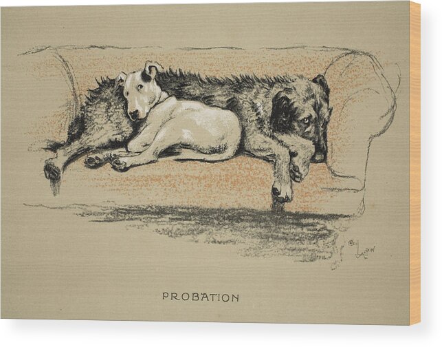 Dogs Wood Print featuring the drawing Probation, 1930, 1st Edition by Cecil Charles Windsor Aldin