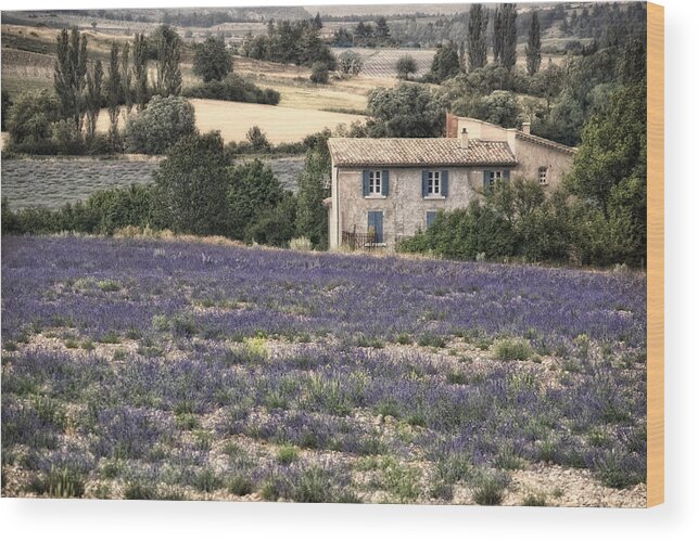 Landscape Wood Print featuring the photograph Provencal by Joachim G Pinkawa